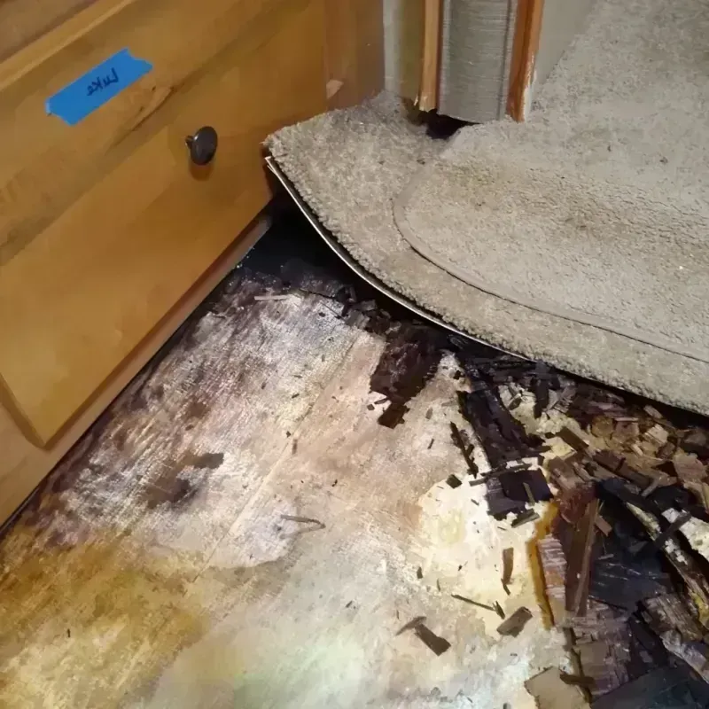 Wood Floor Water Damage in Moline, IL